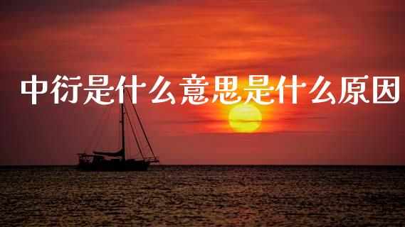 中衍是什么意思是什么原因_财经新闻_第1张_期货开户_金融监管_外汇交易_债券资讯_全球市场_财经新闻 中衍是什么意思是什么原因_https://cj007.lansai.wang_财经新闻_第1张