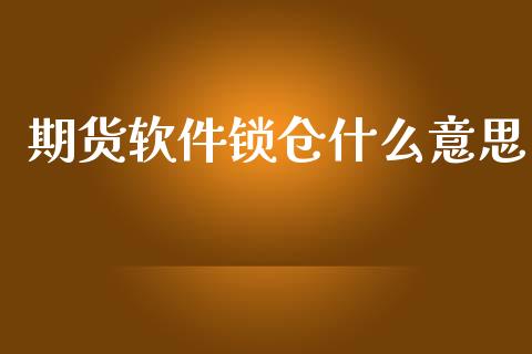 期货软件锁仓什么意思_https://cj007.lansai.wang_外汇交易_第1张
