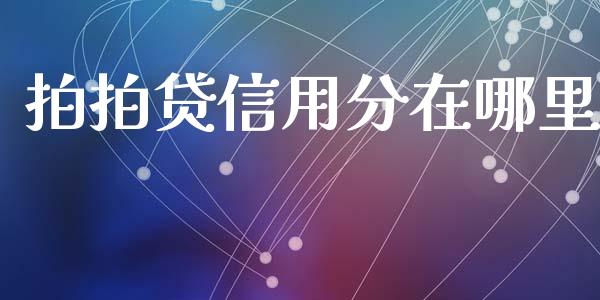 拍拍贷信用分在哪里_https://cj007.lansai.wang_财经新闻_第1张