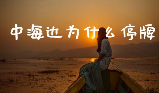 中海达为什么停牌_https://cj007.lansai.wang_外汇交易_第1张