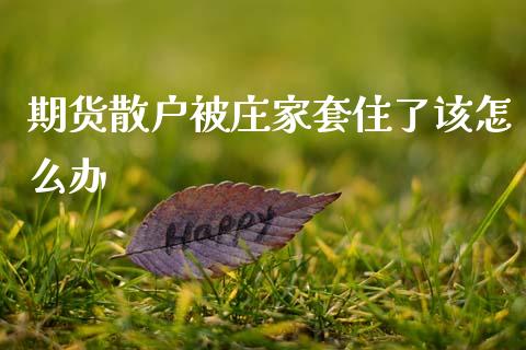 期货散户被庄家套住了该怎么办_https://cj007.lansai.wang_财经新闻_第1张
