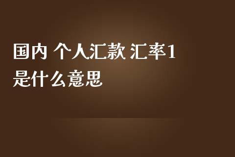 国内 个人汇款 汇率1 是什么意思_https://cj007.lansai.wang_财经新闻_第1张