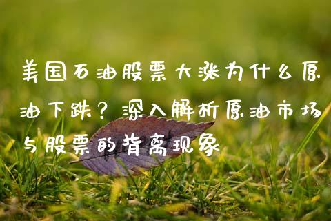 美国石油股票大涨为什么原油下跌？深入解析原油市场与股票的背离现象_https://cj007.lansai.wang_全球市场_第1张