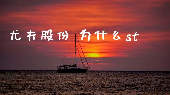 尤夫股份 为什么st_https://cj007.lansai.wang_金融监管_第1张
