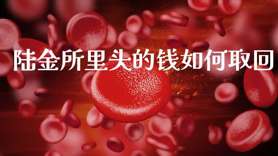 陆金所里头的钱如何取回_https://cj007.lansai.wang_财经新闻_第1张