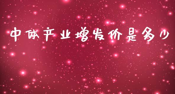 中体产业增发价是多少_https://cj007.lansai.wang_财经新闻_第1张