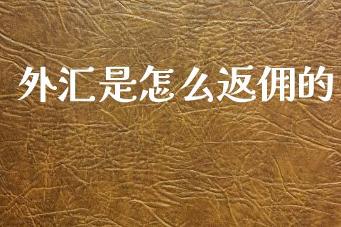 外汇是怎么返佣的_https://cj007.lansai.wang_债券资讯_第1张