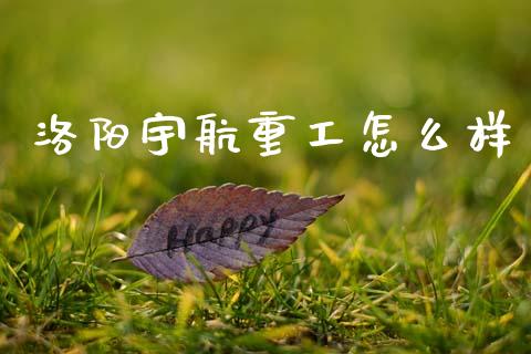 洛阳宇航重工怎么样_https://cj007.lansai.wang_金融监管_第1张