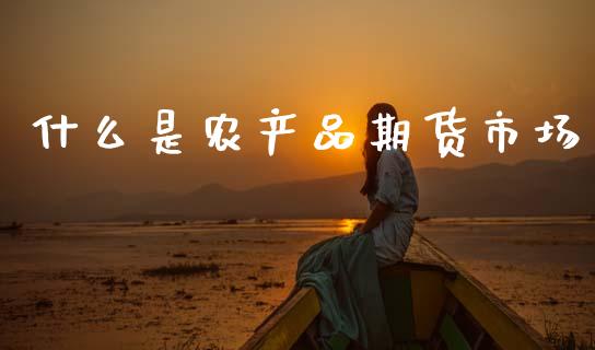什么是农产品期货市场_https://cj007.lansai.wang_债券资讯_第1张