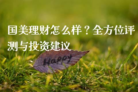 国美理财怎么样？全方位评测与投资建议_https://cj007.lansai.wang_金融监管_第1张