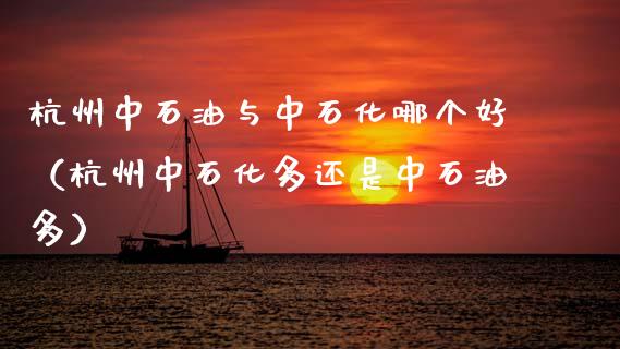 杭州中石油与中石化哪个好（杭州中石化多还是中石油多）_https://cj007.lansai.wang_期货开户_第1张