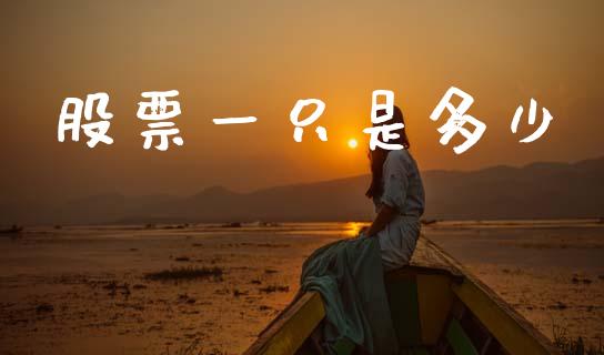 股票一只是多少_https://cj007.lansai.wang_金融监管_第1张