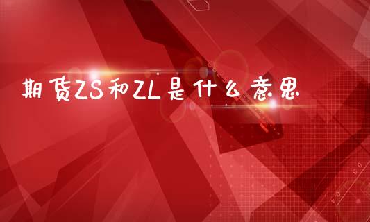 期货ZS和ZL是什么意思_https://cj007.lansai.wang_全球市场_第1张