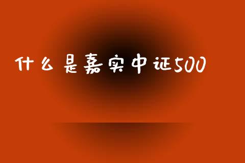 什么是嘉实中证500_https://cj007.lansai.wang_债券资讯_第1张