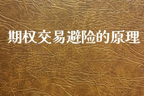 期权交易避险的原理_https://cj007.lansai.wang_外汇交易_第1张