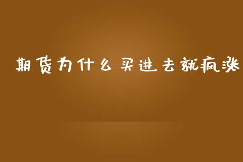 期货为什么买进去就疯涨_https://cj007.lansai.wang_金融监管_第1张