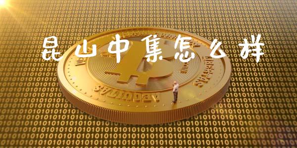 昆山中集怎么样_https://cj007.lansai.wang_债券资讯_第1张