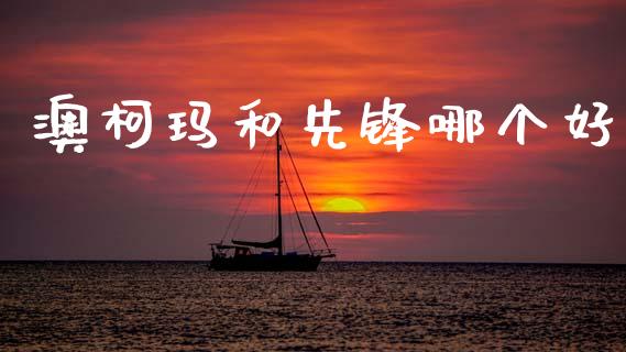 澳柯玛和先锋哪个好_https://cj007.lansai.wang_期货开户_第1张