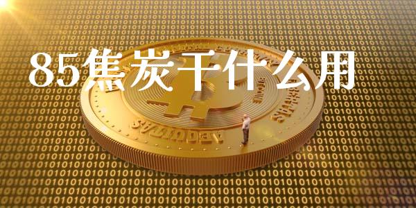 85焦炭干什么用_https://cj007.lansai.wang_期货开户_第1张