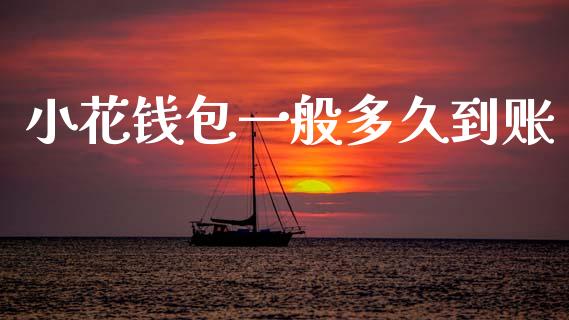 小花钱包一般多久到账_https://cj007.lansai.wang_全球市场_第1张