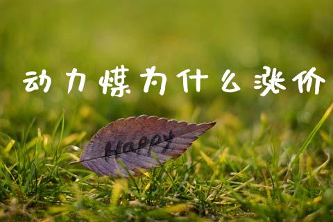 动力煤为什么涨价_https://cj007.lansai.wang_债券资讯_第1张