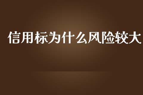 信用标为什么风险较大_https://cj007.lansai.wang_财经新闻_第1张