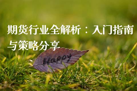 期货行业全解析:入门指南与策略分享_金融监管_第1张_期货开户_金融监管_外汇交易_债券资讯_全球市场_财经新闻 期货行业全解析:入门指南与策略分享_https://cj007.lansai.wang_金融监管_第1张