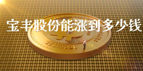 宝丰股份能涨到多少钱_https://cj007.lansai.wang_期货开户_第1张