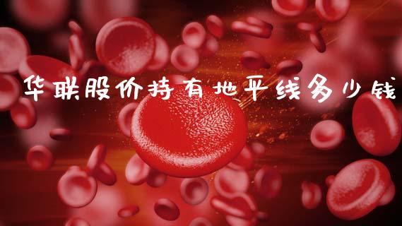 华联股价持有地平线多少钱_https://cj007.lansai.wang_财经新闻_第1张