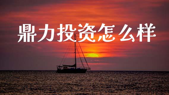 鼎力投资怎么样_https://cj007.lansai.wang_期货开户_第1张
