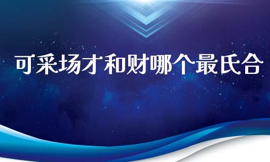 可采场才和财哪个最氏合_https://cj007.lansai.wang_债券资讯_第1张