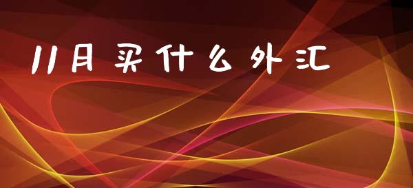 11月买什么外汇_https://cj007.lansai.wang_期货开户_第1张