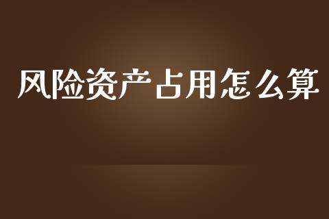 风险资产占用怎么算_https://cj007.lansai.wang_外汇交易_第1张