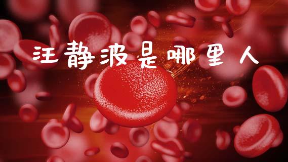 汪静波是哪里人_https://cj007.lansai.wang_期货开户_第1张