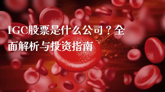 IGC股票是什么公司？全面解析与投资指南_https://cj007.lansai.wang_全球市场_第1张