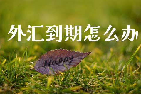 外汇到期怎么办_https://cj007.lansai.wang_金融监管_第1张