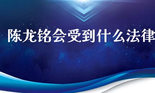 陈龙铭会受到什么法律_https://cj007.lansai.wang_期货开户_第1张