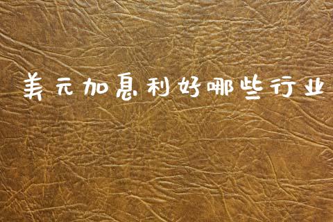 美元加息利好哪些行业_https://cj007.lansai.wang_外汇交易_第1张