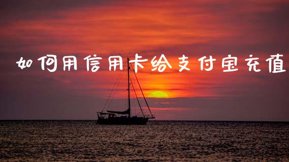如何用信用卡给支付宝充值_https://cj007.lansai.wang_全球市场_第1张
