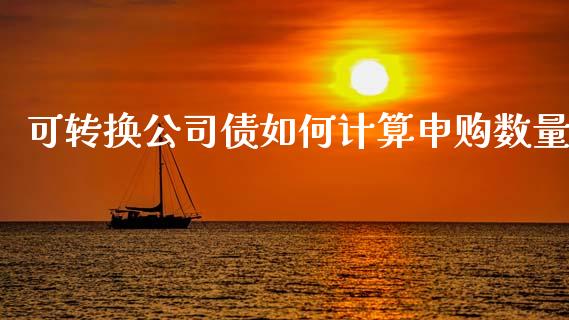 可转换公司债如何计算申购数量_https://cj007.lansai.wang_财经新闻_第1张