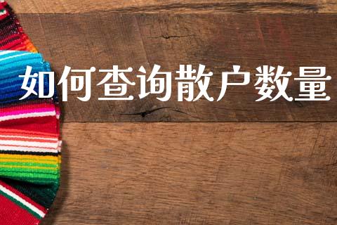 如何查询散户数量_https://cj007.lansai.wang_债券资讯_第1张