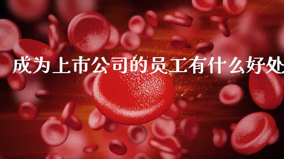 成为上市公司的员工有什么好处_https://cj007.lansai.wang_财经新闻_第1张