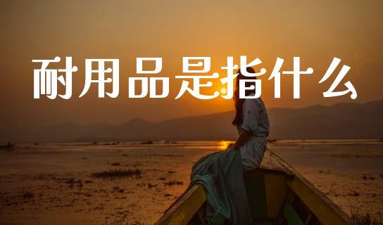 耐用品是指什么_https://cj007.lansai.wang_财经新闻_第1张