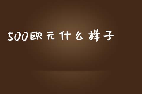 500欧元什么样子_https://cj007.lansai.wang_外汇交易_第1张