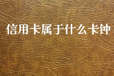 信用卡属于什么卡钟_https://cj007.lansai.wang_期货开户_第1张