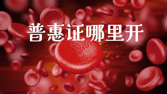 普惠证哪里开_https://cj007.lansai.wang_债券资讯_第1张