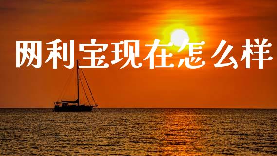 网利宝现在怎么样_https://cj007.lansai.wang_外汇交易_第1张