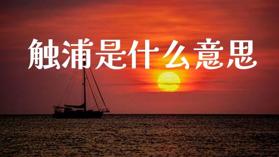触浦是什么意思_https://cj007.lansai.wang_债券资讯_第1张