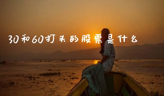 30和60打头的股票是什么_https://cj007.lansai.wang_全球市场_第1张