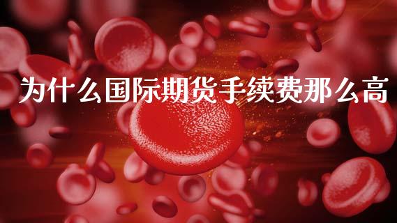 为什么国际期货手续费那么高_https://cj007.lansai.wang_财经新闻_第1张